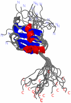 Image NMR Structure - all models