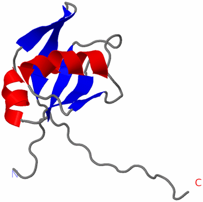 Image NMR Structure - model 1