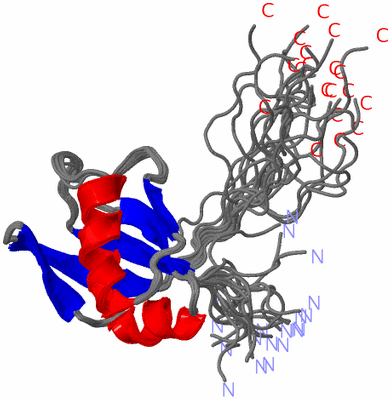Image NMR Structure - all models