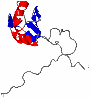 Image NMR Structure - model 1