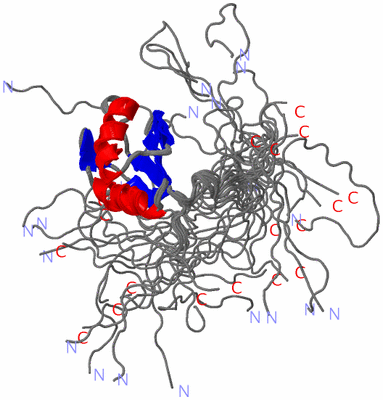 Image NMR Structure - all models