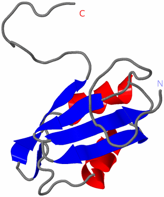 Image NMR Structure - model 1