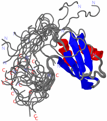 Image NMR Structure - all models