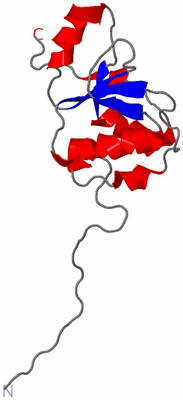 Image NMR Structure - model 1