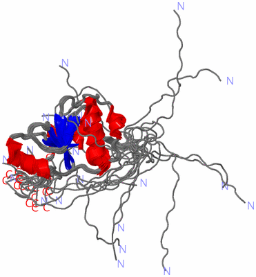 Image NMR Structure - all models