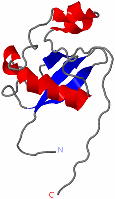 Image NMR Structure - model 1