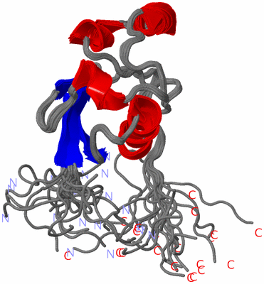 Image NMR Structure - all models