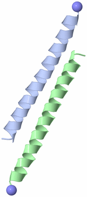 Image Asymmetric Unit
