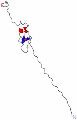 Image NMR Structure - model 1