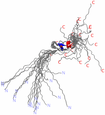 Image NMR Structure - all models