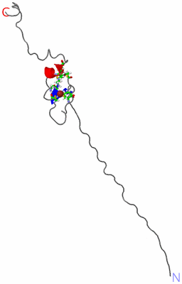 Image NMR Structure - model 1, sites