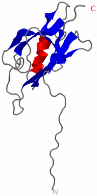Image NMR Structure - model 1