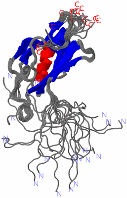 Image NMR Structure - all models
