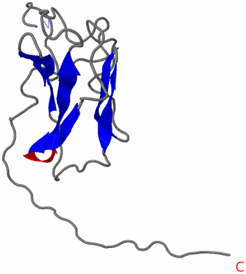 Image NMR Structure - model 1