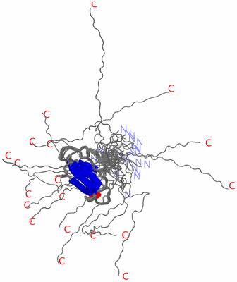Image NMR Structure - all models