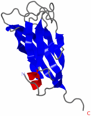 Image NMR Structure - model 1