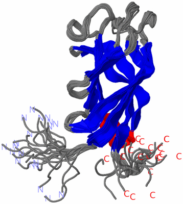 Image NMR Structure - all models