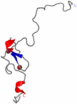 Image NMR Structure - model 1