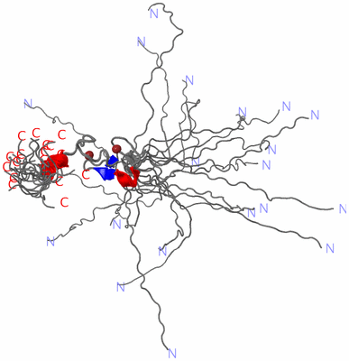 Image NMR Structure - all models