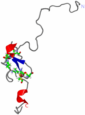 Image NMR Structure - model 1, sites