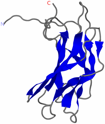 Image NMR Structure - model 1