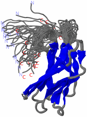 Image NMR Structure - all models