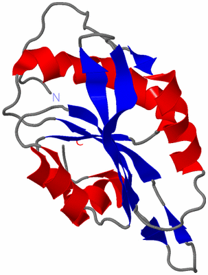 Image NMR Structure - model 1