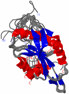 Image NMR Structure - all models