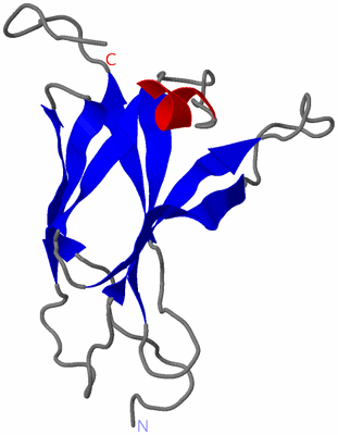 Image NMR Structure - model 1
