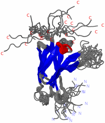 Image NMR Structure - all models