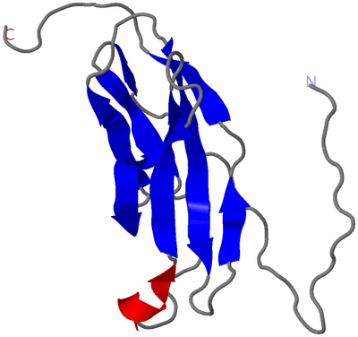 Image NMR Structure - model 1