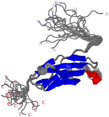 Image NMR Structure - all models