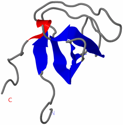 Image NMR Structure - model 1