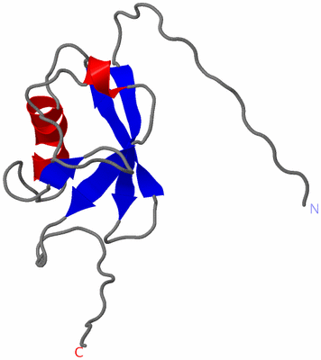 Image NMR Structure - model 1