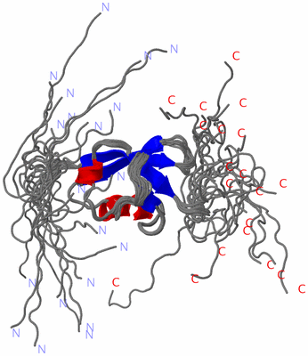 Image NMR Structure - all models