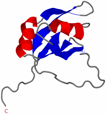 Image NMR Structure - model 1