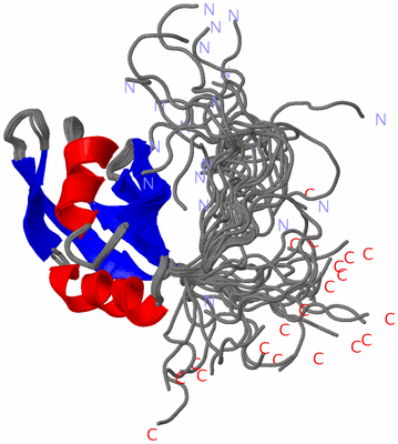 Image NMR Structure - all models