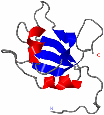 Image NMR Structure - model 1