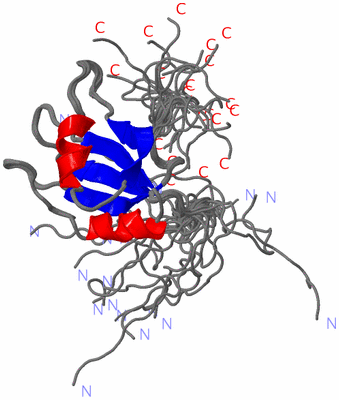 Image NMR Structure - all models