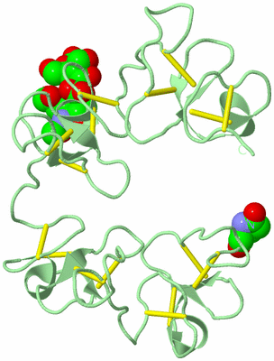 Image Biological Unit 2