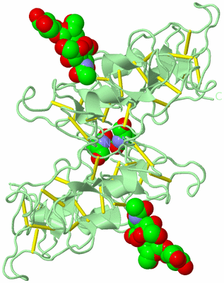 Image Biological Unit 3