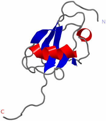 Image NMR Structure - model 1