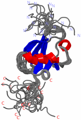 Image NMR Structure - all models