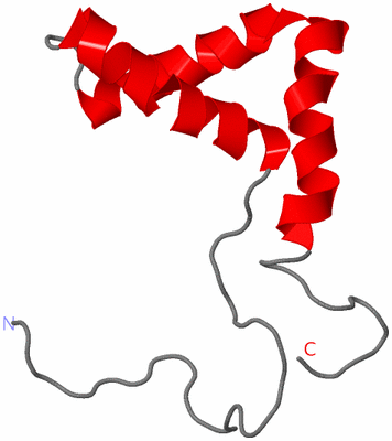 Image NMR Structure - model 1