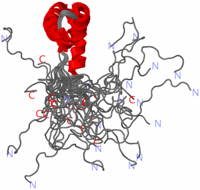 Image NMR Structure - all models