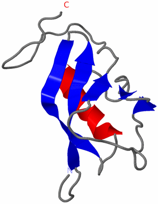 Image NMR Structure - model 1