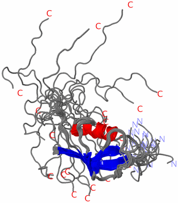 Image NMR Structure - all models