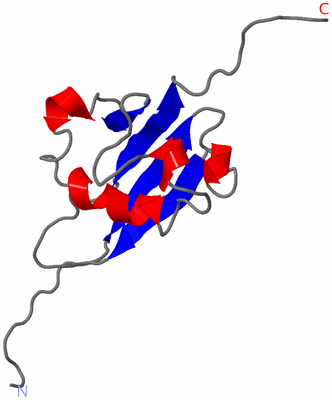 Image NMR Structure - model 1