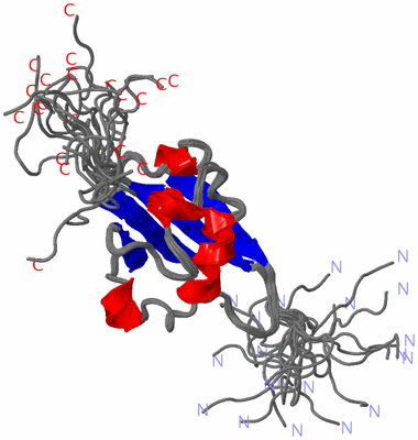 Image NMR Structure - all models