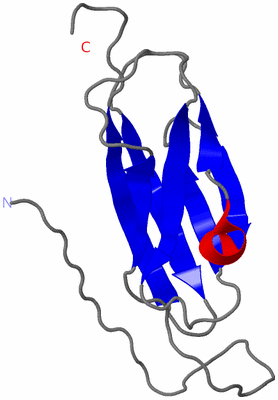 Image NMR Structure - model 1